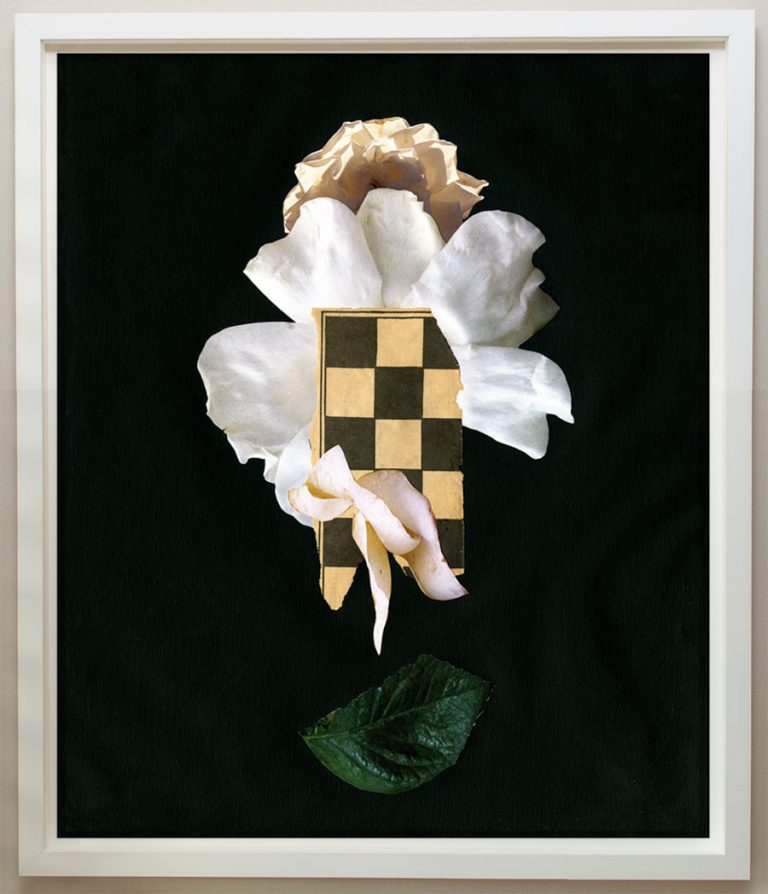 Nocturne #1 by Molly Frances