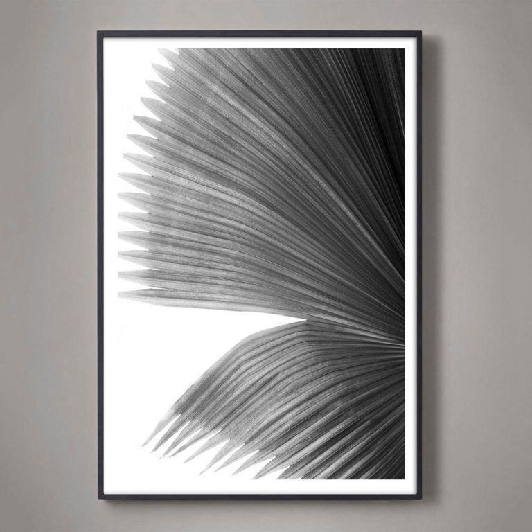 black and white palm frond photograph