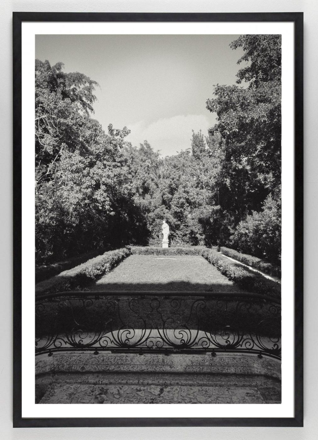 Black and White Photograph of Garden