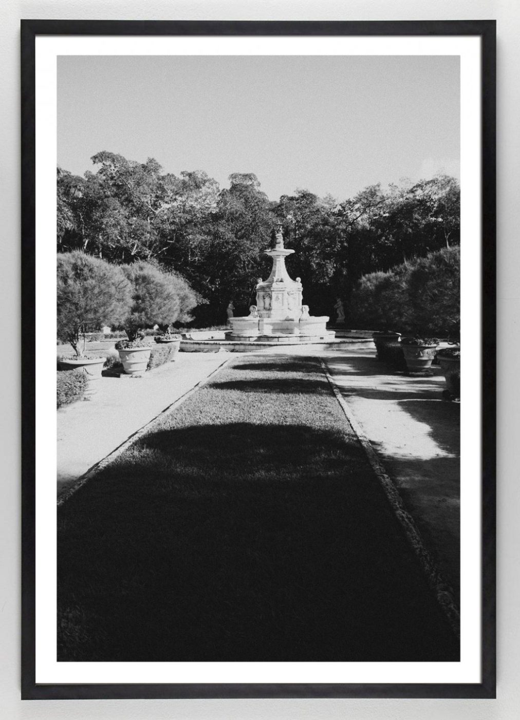 Black and White Photograph of Garden