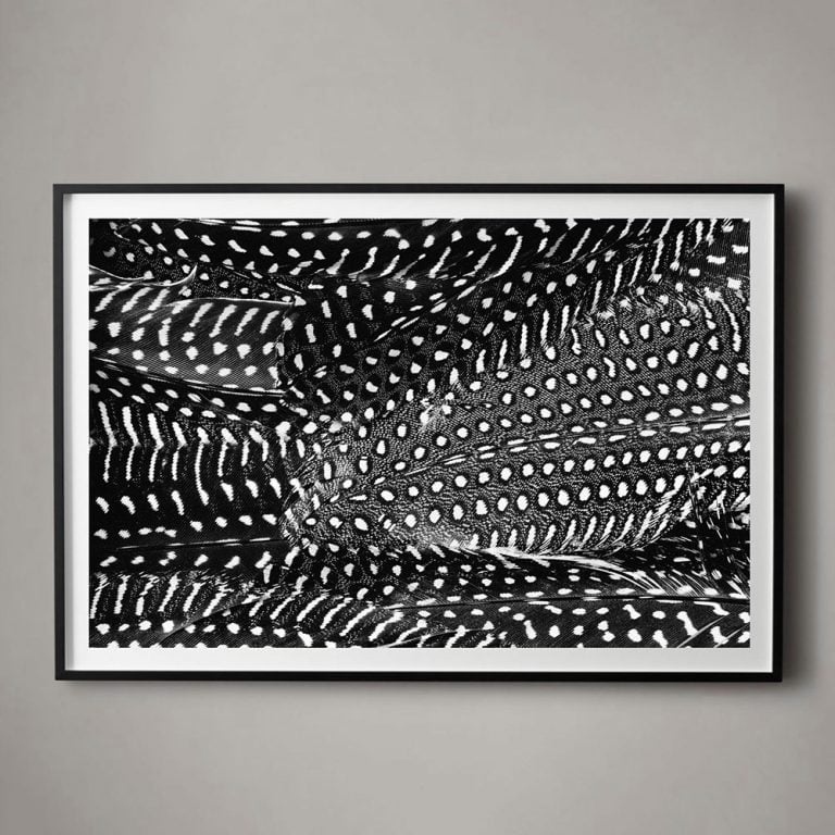 Plumes No. 2