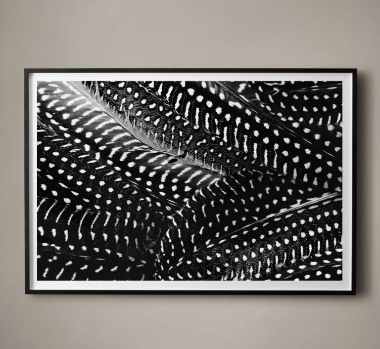 Plumes No. 3 - Image 2