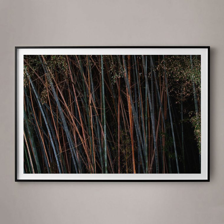 multi-colored landscape bamboo photograph