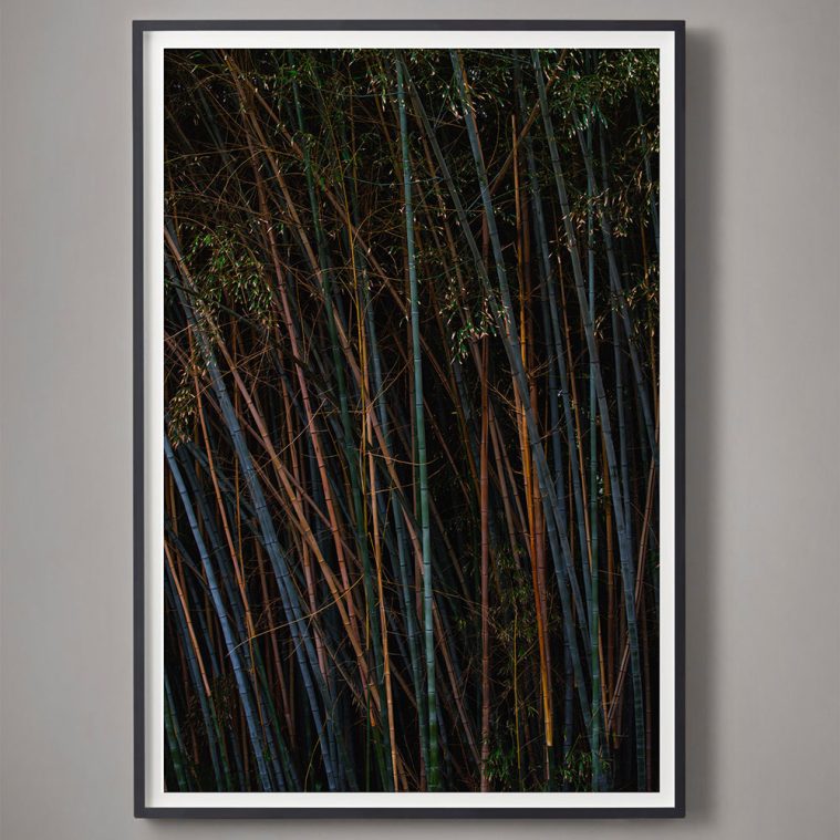 vertical jewel-toned photograph with bamboo