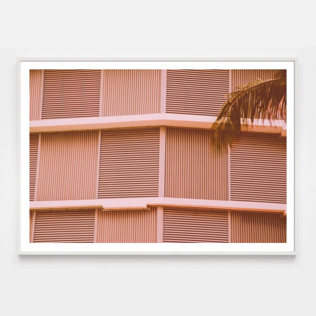 minimal pink grid photograph