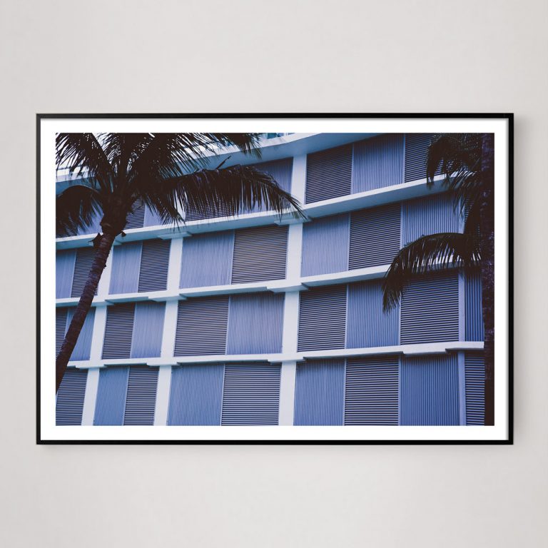 minimal purple grid photograph