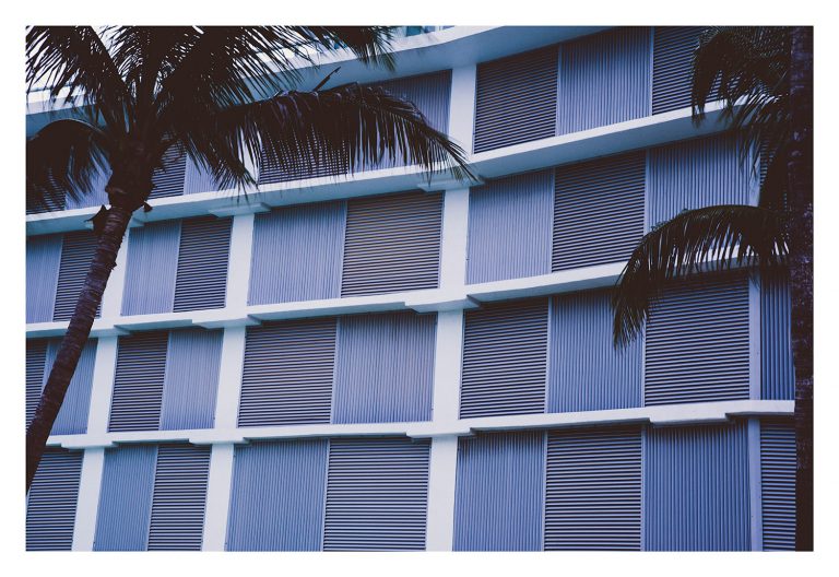 minimal purple grid photograph
