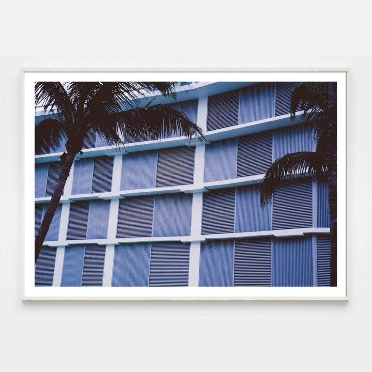 minimal lavender grid photograph