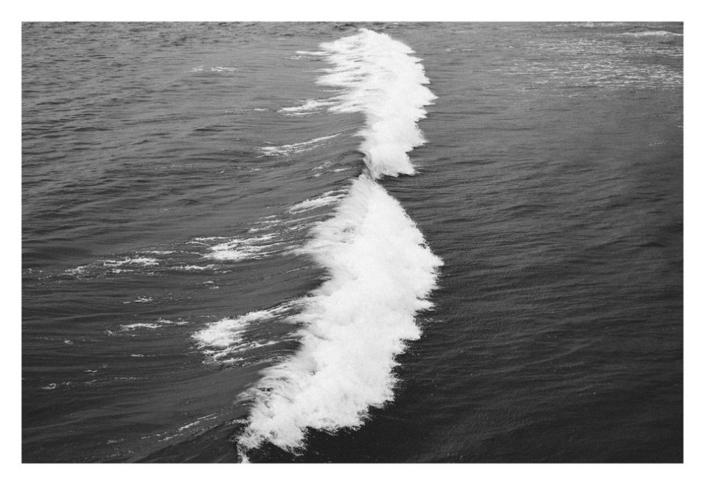 black and white crashing wave photo