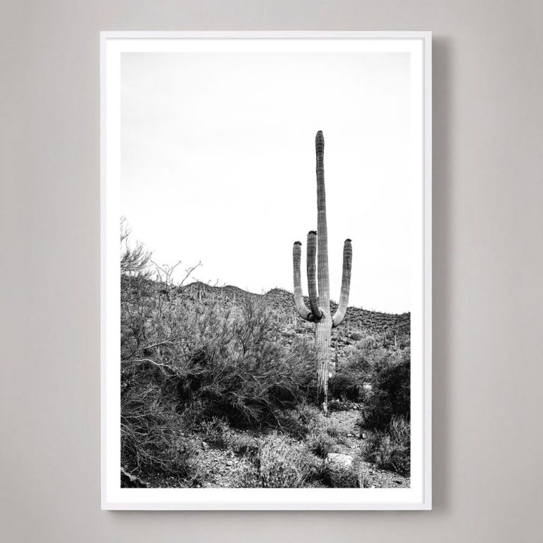 Sonoran No. 1 - Image 3