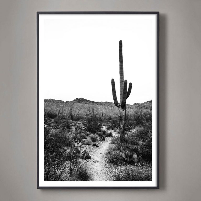 Sonoran No. 2 - Image 4