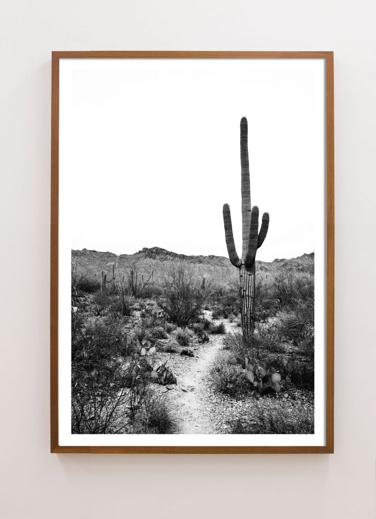 Sonoran No. 2 - Image 3