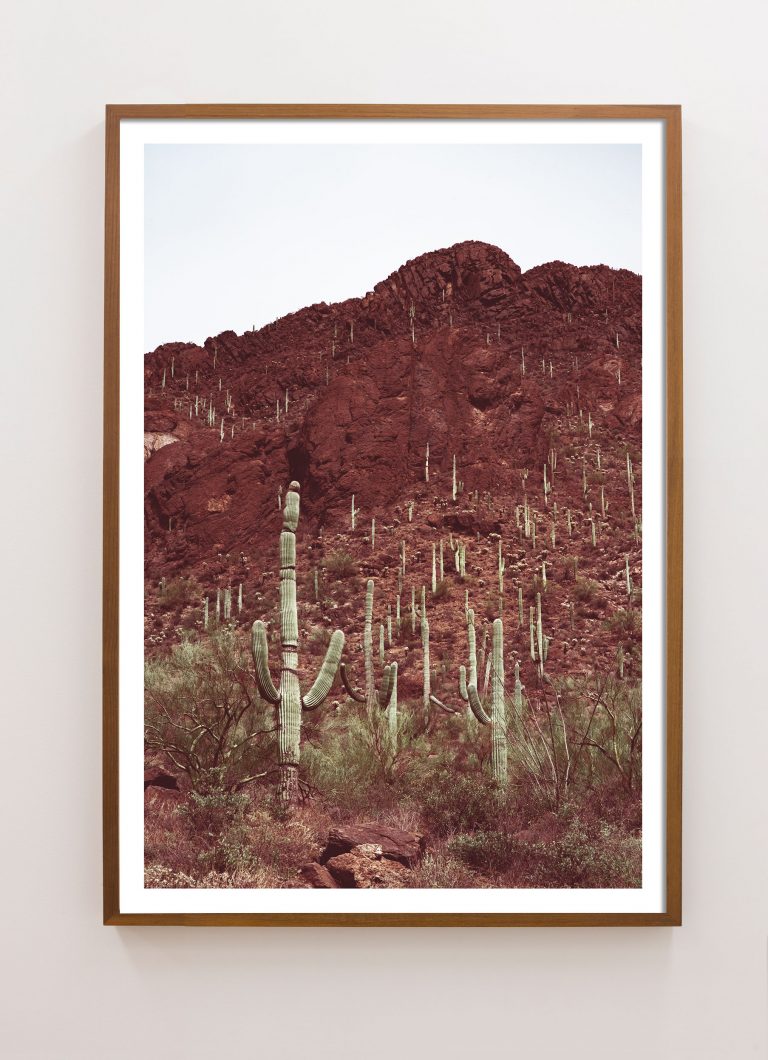 Sonoran No. 5 - Image 3