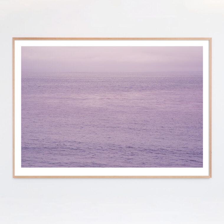 purple lavender ocean photograph