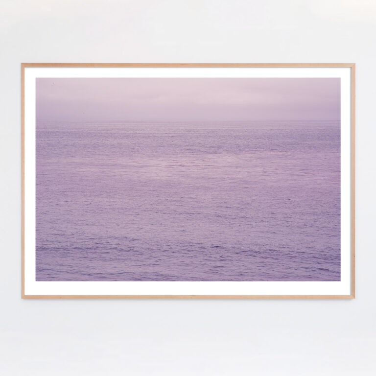 purple lavender ocean photograph
