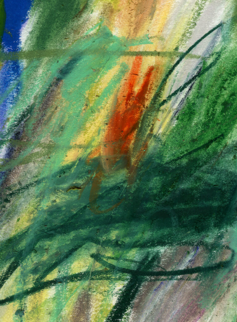 Ecology - Image 6