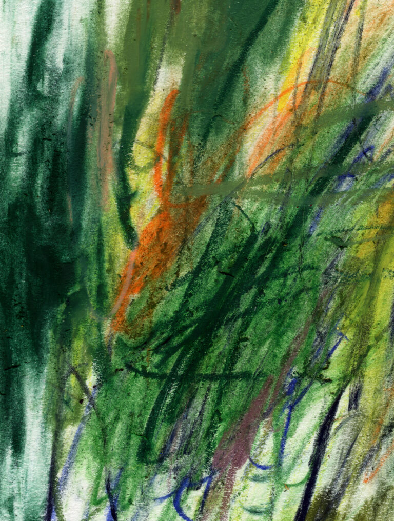 Ecology - Image 7