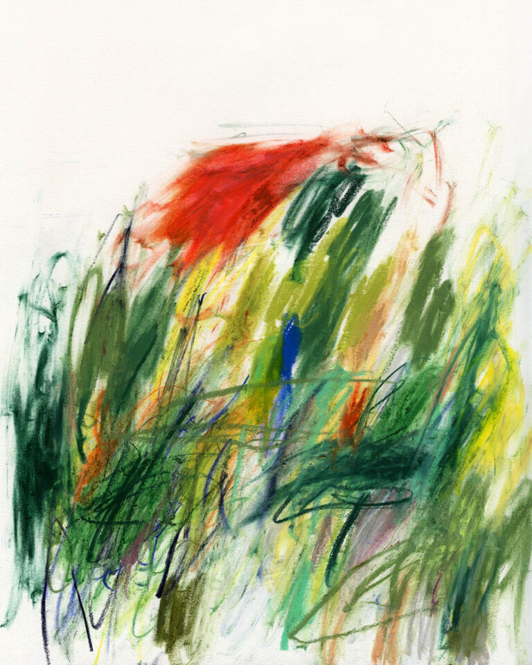 Ecology - Image 4