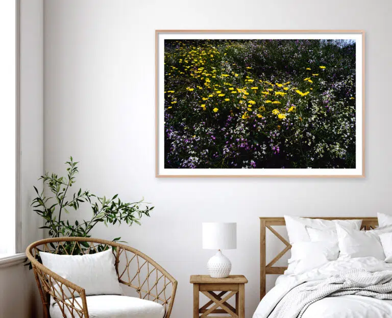 "Western Wildflowers Series, Entry #4" - Image 4
