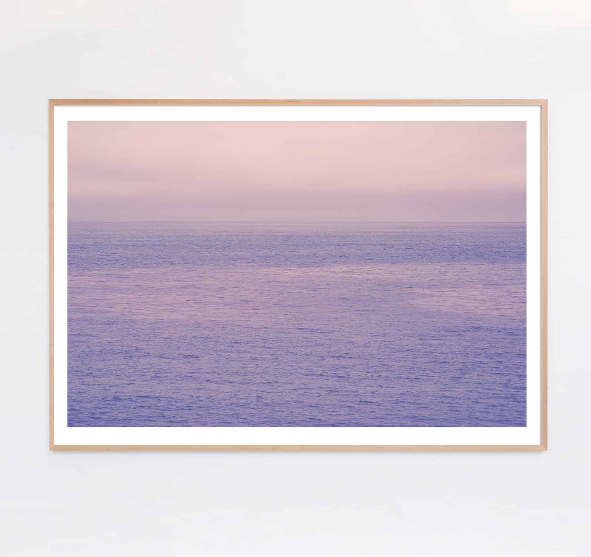 purple lavender ocean photo